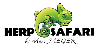 Herp Safari