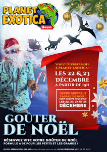 Goûter de Noël