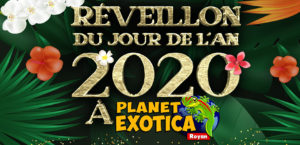 Réveillon du jour de l'an à Planet Exotica