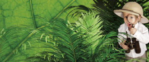 Animaux du Parc Planet Exotica