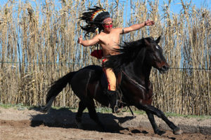 Spectacle chevaux