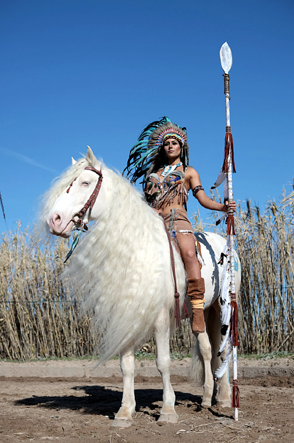 Spectacle chevaux