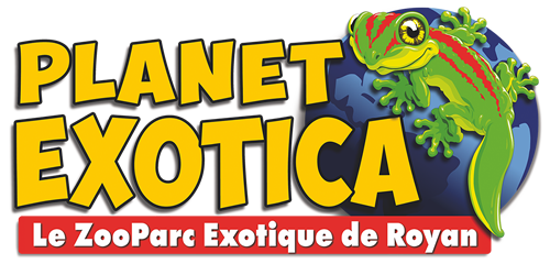 Planet Exotica