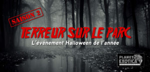 Halloween 2020