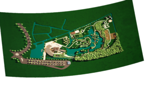 Map Warper