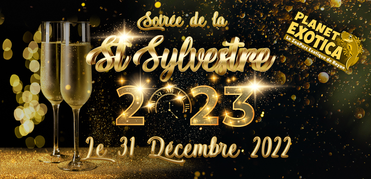 Soirée de la Saint-Sylvestre - Nouvel An 2023