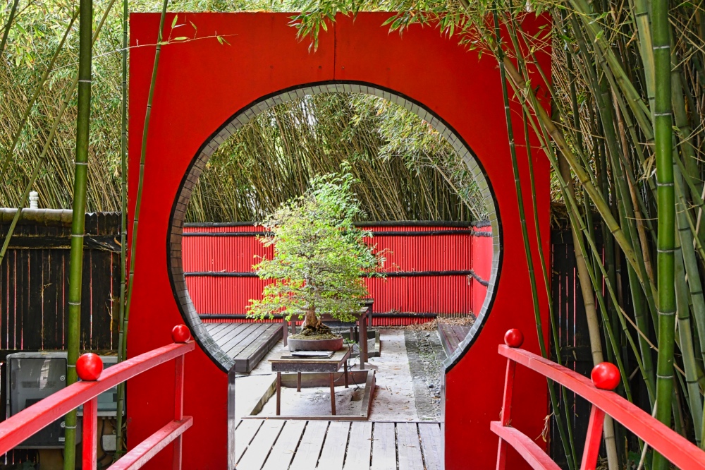 Parc Planet Exotica : Jardin Japonais
