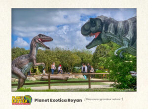 Planet Exotica Royan : Dinosaures