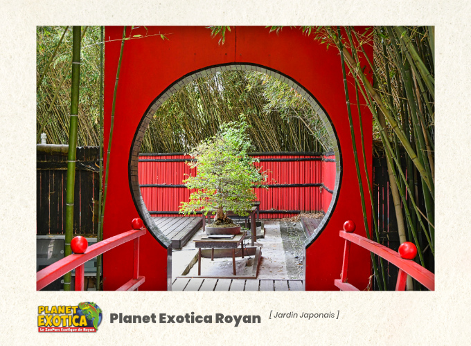 Planet Exotica : Jardin Japonais