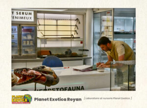 Nurserie Planet Exotica