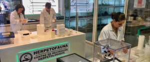 Laboratoire Planet Exotica