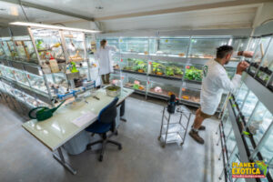 Laboratoire Planet Exotica