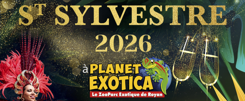 Bandeau St Sylvestre 2025 2026 Bandeau St Sylvestre 2025 2026