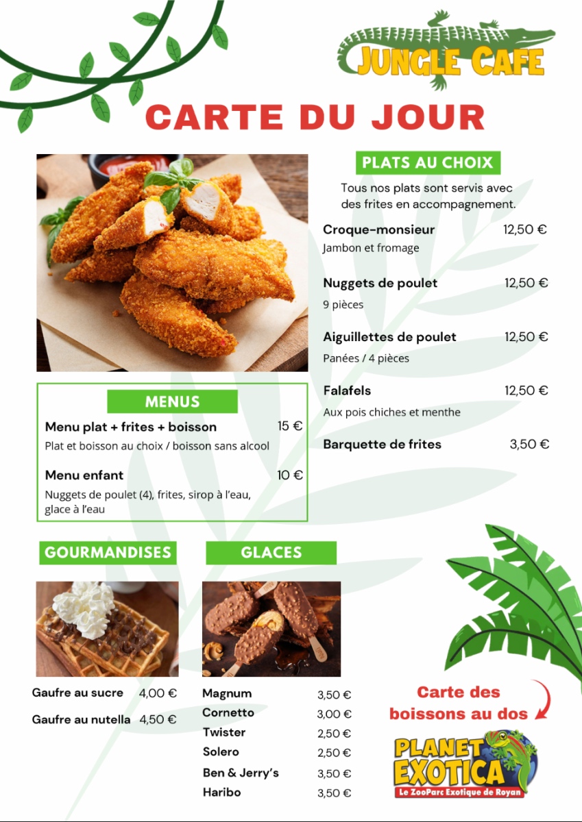 Carte Jungle Café