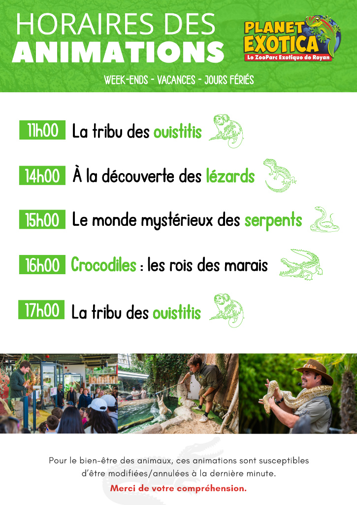 Planning animations - hors saison - 2 Planning animations - hors saison - 2
