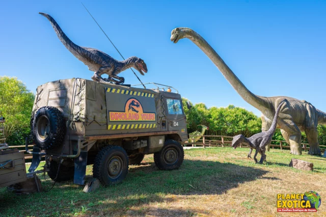 Sur les terres sauvages de Planet Exotica à l'abri des regards, les plus grands scientifiques internationaux ont recréé des dinosaures vivants dans un laboratoire secret de haute technologie. Mais évidemment, rien ne s'est passé comme prévu, et la nature a fini par reprendre ses droits... 🦖

Aujourd'hui, seuls nos visiteurs les plus intrépides oseront s'aventurer sur l'île de Dinoland pour se promener au milieu des Velociraptor ou des T-rex, visiter le Dino Labo ou encore continuer les fouilles paléontologiques. 🤠

➡ Planet Exotica et ses dinosaures vous accueillent tout l'été de 10h à 20h !

#dinosaure #jurassicworld #velociraptor #tyrannosaure #trex #attraction #parcdattraction #zooparc #zoo #parcanimalier #royan #charentemaritime