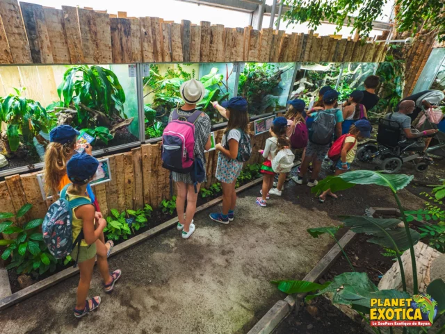 🎉 Le 14 Juillet, vivez l’aventure à Planet Exotica ! 🌴🐍🦎
À l’occasion de la Fête Nationale, votre parc préféré à Royan est ouvert comme tous les jours de 10h à 20h.
Venez explorer nos serres tropicales, croiser dinosaures et reptiles, flâner dans les jardins exotiques et vivre une journée inoubliable en famille ou entre amis 🦖

📍 Planet Exotica – Royan
📅 Dimanche 14 juillet
🕙 Ouvert de 10h à 20h

#PlanetExotica #Royan #SortieFamille #14Juillet #ParcAnimalier #Reptiles #Dinosaure #JardinExotique